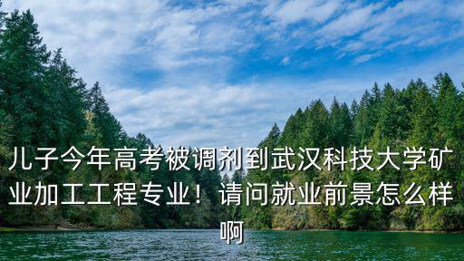 兒子今年高考被調劑到武漢科技大學礦業加工工程專業！請問就業前景怎么樣啊