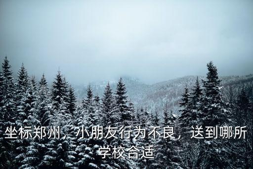 坐標鄭州，小朋友行為不良，送到哪所學校合適
