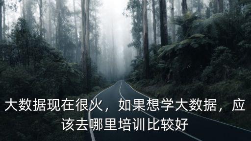 大數(shù)據(jù)現(xiàn)在很火，如果想學(xué)大數(shù)據(jù)，應(yīng)該去哪里培訓(xùn)比較好