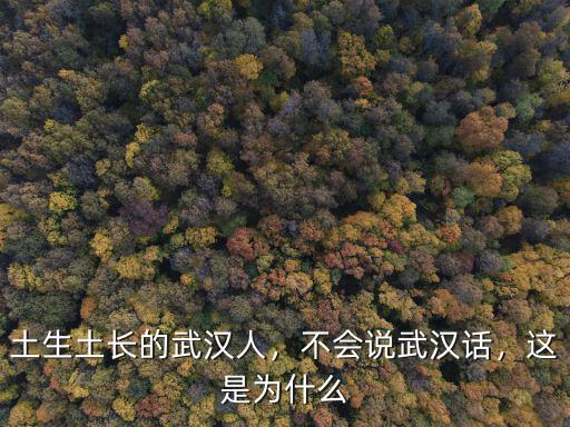 土生土長(zhǎng)的武漢人，不會(huì)說(shuō)武漢話，這是為什么