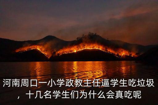 河南周口一小學政教主任逼學生吃垃圾，十幾名學生們?yōu)槭裁磿娉阅? class=