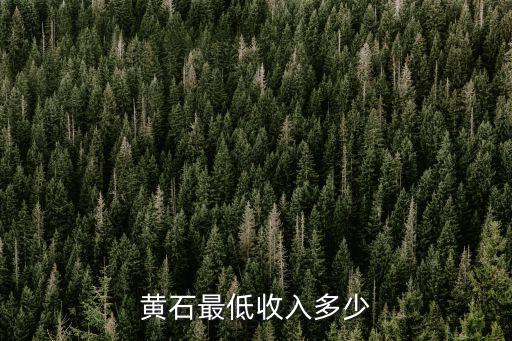 黃石最低收入多少