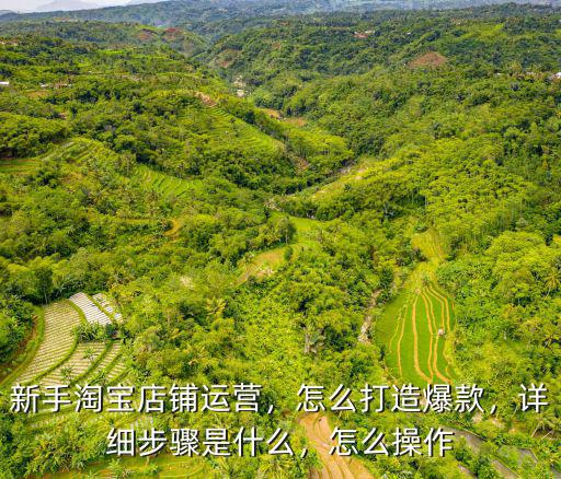 新手淘寶店鋪運營，怎么打造爆款，詳細步驟是什么，怎么操作