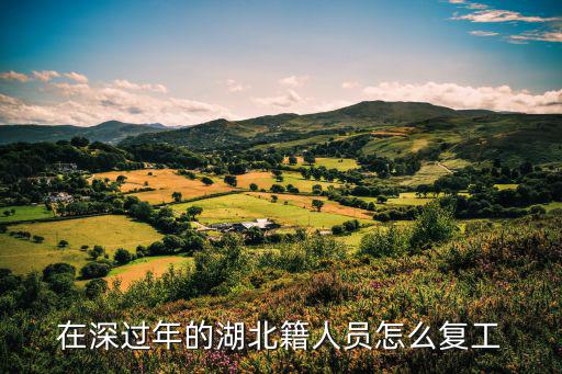 在深過年的湖北籍人員怎么復工