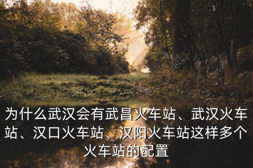 為什么武漢會有武昌火車站、武漢火車站、漢口火車站、漢陽火車站這樣多個火車站的配置