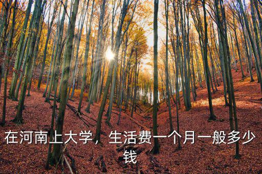 在河南上大學，生活費一個月一般多少錢