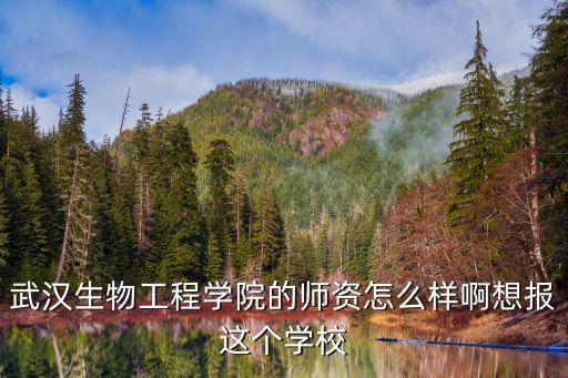 武漢生物大學(xué)怎么樣,武漢生物工程學(xué)院怎么樣