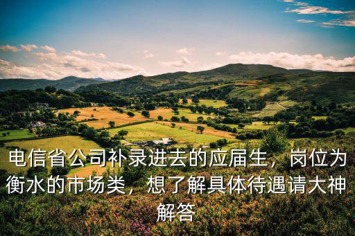 電信省公司補錄進去的應屆生，崗位為衡水的市場類，想了解具體待遇請大神解答