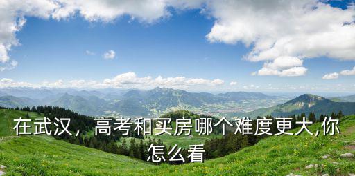在武漢，高考和買房哪個(gè)難度更大,你怎么看