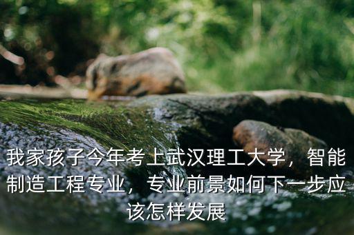 我家孩子今年考上武漢理工大學，智能制造工程專業，專業前景如何下一步應該怎樣發展