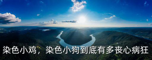 染色小雞，染色小狗到底有多喪心病狂