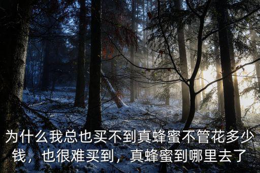 為什么我總也買不到真蜂蜜不管花多少錢，也很難買到，真蜂蜜到哪里去了