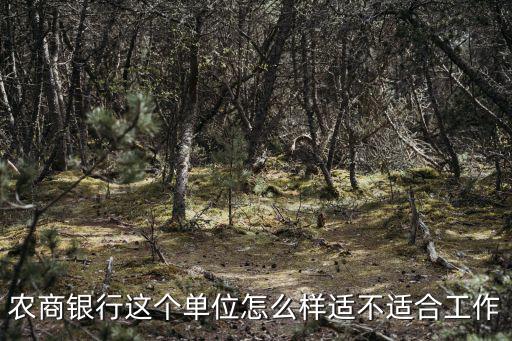 農(nóng)商銀行這個單位怎么樣適不適合工作