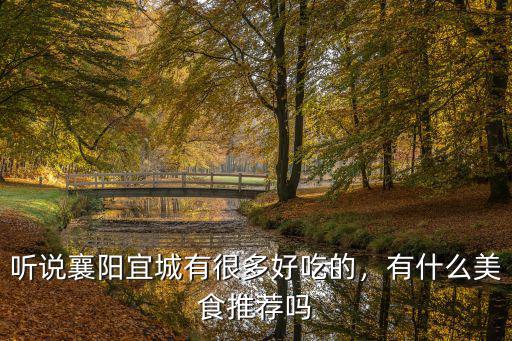 聽說襄陽宜城有很多好吃的，有什么美食推薦嗎