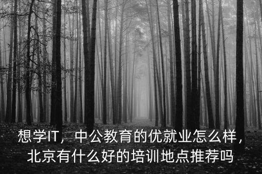 想學IT，中公教育的優就業怎么樣，北京有什么好的培訓地點推薦嗎