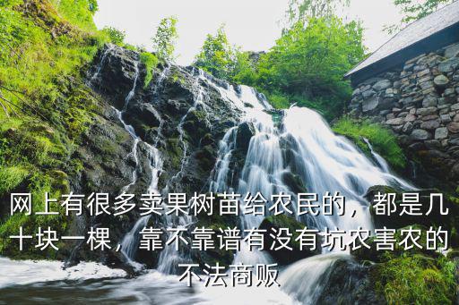 平頂山果樹(shù)苗在哪里買靠譜,在哪里買果樹(shù)苗比較靠譜