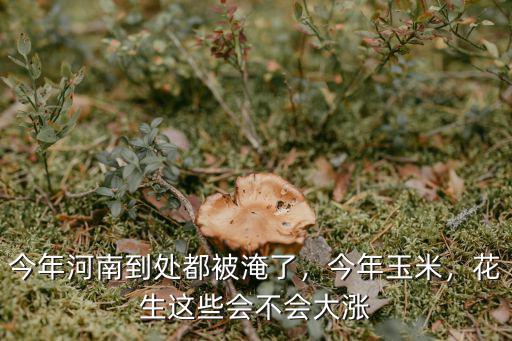 花生壞了怎么說河南,河南老漢進城賣花生
