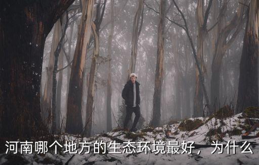 河南哪個地方的生態環境最好，為什么