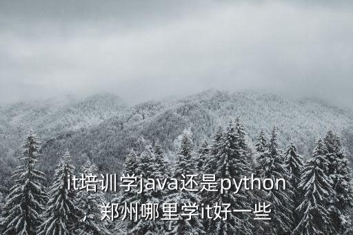 it培訓學java還是python，鄭州哪里學it好一些