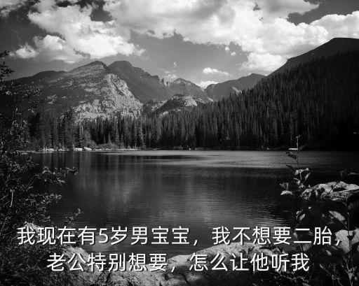 我現在有5歲男寶寶，我不想要二胎，老公特別想要，怎么讓他聽我