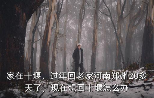 家在十堰，過年回老家河南鄭州20多天了，現在想回十堰怎么辦