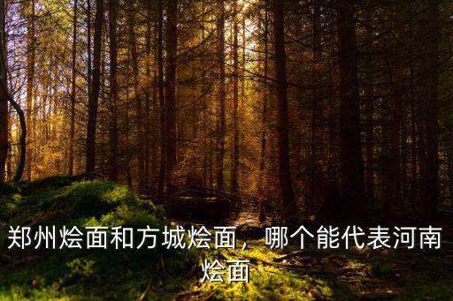 鄭州燴面和方城燴面，哪個能代表河南燴面