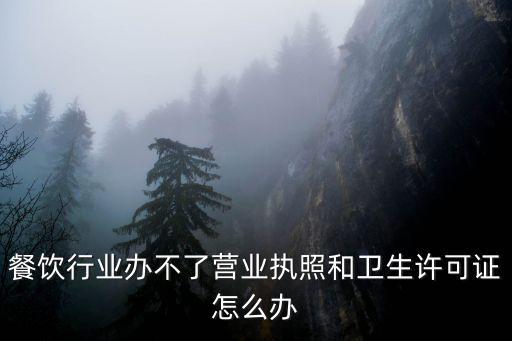 餐飲行業(yè)辦不了營(yíng)業(yè)執(zhí)照和衛(wèi)生許可證怎么辦
