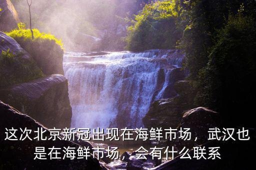 這次北京新冠出現在海鮮市場，武漢也是在海鮮市場，會有什么聯系