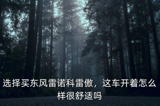 選擇買東風雷諾科雷傲，這車開著怎么樣很舒適嗎