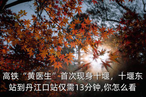 高鐵“黃醫(yī)生”首次現(xiàn)身十堰，十堰東站到丹江口站僅需13分鐘,你怎么看