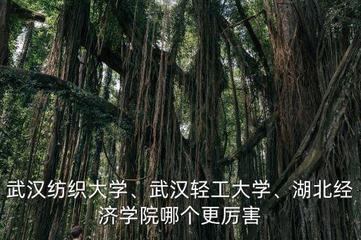 武漢紡織大學(xué)染整學(xué)院怎么樣,報(bào)考武漢紡織大學(xué)怎么樣