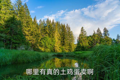 哪里有真的土雞蛋賣啊