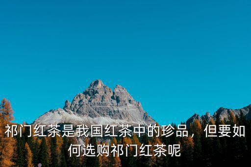 祁門紅茶是我國紅茶中的珍品，但要如何選購祁門紅茶呢