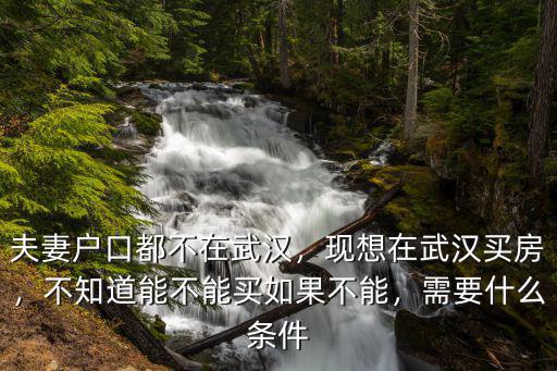 畢業兩年怎么在武漢買房,現想在武漢買房