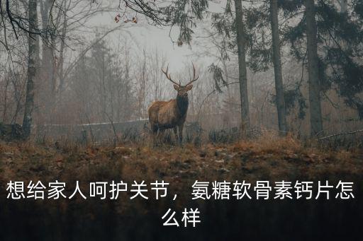 想給家人呵護關節，氨糖軟骨素鈣片怎么樣
