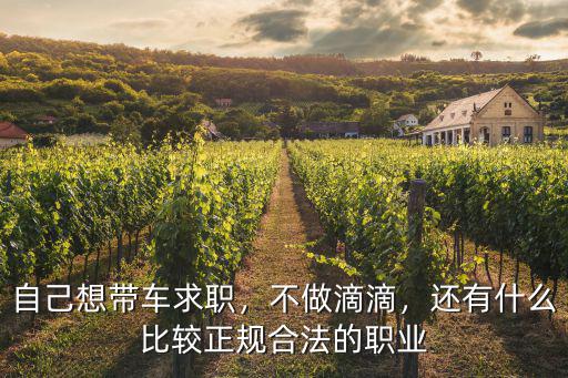 在周口帶車求職怎么找,本人想帶車求職