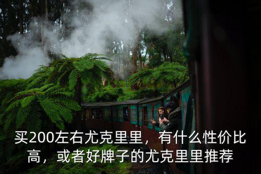 買200左右尤克里里，有什么性價比高，或者好牌子的尤克里里推薦