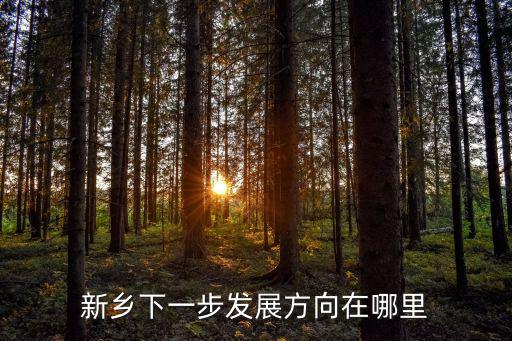 濮陽新鄉(xiāng)在哪里,新鄉(xiāng)市在哪里