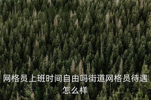 網(wǎng)格員上班時間自由嗎街道網(wǎng)格員待遇怎么樣