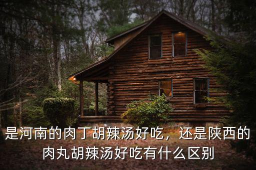 是河南的肉丁胡辣湯好吃，還是陜西的肉丸胡辣湯好吃有什么區(qū)別