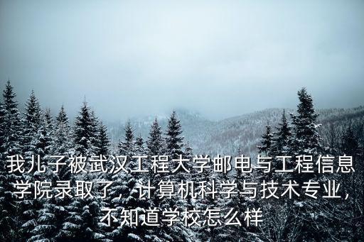 我兒子被武漢工程大學(xué)郵電與工程信息學(xué)院錄取了，計(jì)算機(jī)科學(xué)與技術(shù)專(zhuān)業(yè)，不知道學(xué)校怎么樣