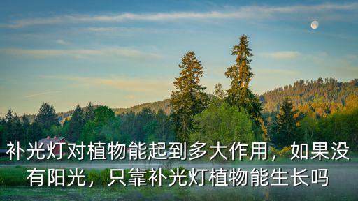 河南植物補(bǔ)光燈怎么用,用植物補(bǔ)光燈有效果嗎