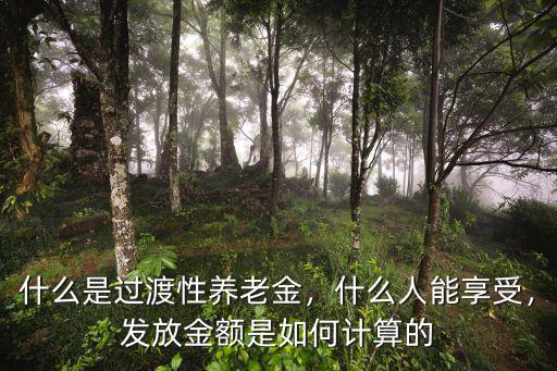 什么是過渡性養老金，什么人能享受，發放金額是如何計算的