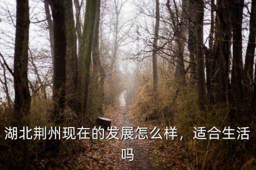 湖北荊州現在的發展怎么樣，適合生活嗎