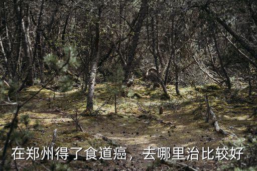 在鄭州得了食道癌，去哪里治比較好