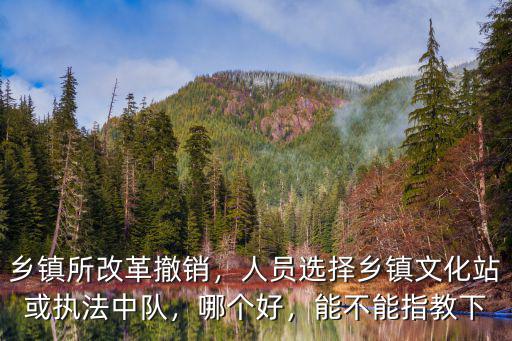 鄉鎮所改革撤銷，人員選擇鄉鎮文化站或執法中隊，哪個好，能不能指教下