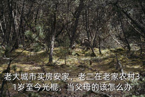 南陽人31歲了該在哪里安家呢,你會(huì)在哪里安家