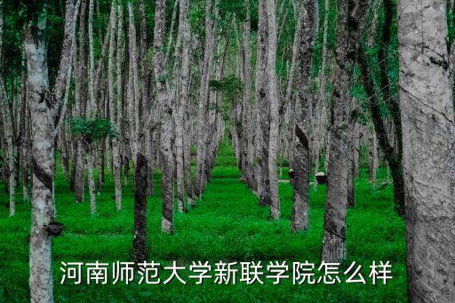 河南師范大學新聯學院怎么樣