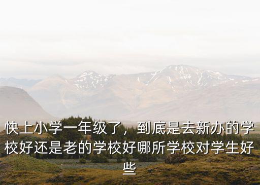 快上小學(xué)一年級(jí)了，到底是去新辦的學(xué)校好還是老的學(xué)校好哪所學(xué)校對(duì)學(xué)生好些