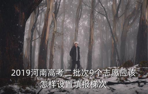 2019河南高考二批次9個(gè)志愿應(yīng)該怎樣設(shè)置填報(bào)梯次